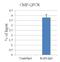 Tripartite Motif Containing 28 antibody, PA5-27648, Invitrogen Antibodies, Chromatin Immunoprecipitation image 