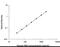 C-X-C Motif Chemokine Ligand 9 antibody, DCX900, R&D Systems, Enzyme Linked Immunosorbent Assay image 