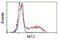 Nitrilase Family Member 2 antibody, NBP2-02486, Novus Biologicals, Flow Cytometry image 