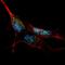 Kruppel Like Factor 4 antibody, abx031664, Abbexa, Western Blot image 