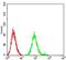 Cholinergic Receptor Nicotinic Beta 4 Subunit antibody, NBP2-61743, Novus Biologicals, Flow Cytometry image 