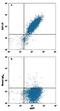 Glucagon Like Peptide 1 Receptor antibody, FAB2814N, R&D Systems, Flow Cytometry image 