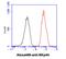 Natural Cytotoxicity Triggering Receptor 2 antibody, NBP2-42683, Novus Biologicals, Flow Cytometry image 