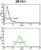 E2F Transcription Factor 5 antibody, GTX80623, GeneTex, Flow Cytometry image 