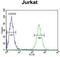 Heterogeneous Nuclear Ribonucleoprotein L antibody, GTX81941, GeneTex, Flow Cytometry image 