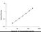 Interleukin 15 antibody, D1500, R&D Systems, Enzyme Linked Immunosorbent Assay image 