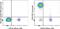 CD5 Molecule antibody, 15-0058-42, Invitrogen Antibodies, Flow Cytometry image 