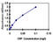 C-Reactive Protein antibody, OKBA00016, Aviva Systems Biology, Enzyme Linked Immunosorbent Assay image 