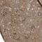 Calcium Voltage-Gated Channel Auxiliary Subunit Beta 2 antibody, PA5-57230, Invitrogen Antibodies, Immunohistochemistry paraffin image 