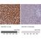 Sulfotransferase Family 2A Member 1 antibody, NBP2-32604, Novus Biologicals, Immunohistochemistry paraffin image 