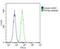 Insulin Like Growth Factor 2 antibody, PA5-71494, Invitrogen Antibodies, Flow Cytometry image 