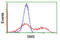 Spermine Synthase antibody, LS-C173064, Lifespan Biosciences, Flow Cytometry image 