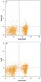 Spi-B Transcription Factor antibody, AF7204, R&D Systems, Flow Cytometry image 