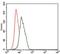 Enolase 2 antibody, NBP2-37465, Novus Biologicals, Flow Cytometry image 