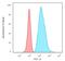 Keratin 8 antibody, GTX34666, GeneTex, Flow Cytometry image 