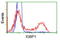 Immunoglobulin Binding Protein 1 antibody, LS-C172343, Lifespan Biosciences, Flow Cytometry image 