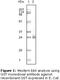 GST antibody, LS-C47152, Lifespan Biosciences, Western Blot image 