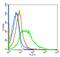 CD36 Molecule antibody, GTX60300, GeneTex, Flow Cytometry image 