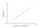 Pyruvate Dehydrogenase E1 Alpha 1 Subunit antibody, NBP2-81221, Novus Biologicals, Enzyme Linked Immunosorbent Assay image 