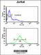 SHCBP1 antibody, 61-925, ProSci, Flow Cytometry image 