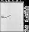 Mucolipin 3 antibody, GTX16617, GeneTex, Western Blot image 