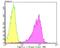 Pumilio homolog 1 antibody, NBP2-75638, Novus Biologicals, Flow Cytometry image 