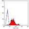 Integrin Subunit Beta 1 antibody, GTX75616, GeneTex, Flow Cytometry image 