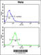 Dipeptidyl Peptidase 8 antibody, 62-286, ProSci, Flow Cytometry image 