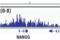 WD Repeat Domain 5 antibody, 13105S, Cell Signaling Technology, Chromatin Immunoprecipitation image 