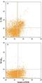 Interleukin 2 Receptor Subunit Beta antibody, MAB5891, R&D Systems, Flow Cytometry image 