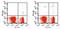 Singlech antibody, NBP2-27061, Novus Biologicals, Flow Cytometry image 