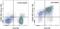 CD69 Molecule antibody, 47-0699-42, Invitrogen Antibodies, Flow Cytometry image 