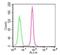 Toll Like Receptor 9 antibody, NBP2-24729F, Novus Biologicals, Flow Cytometry image 