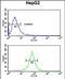 Ubiquitin Associated Protein 1 antibody, PA5-49644, Invitrogen Antibodies, Flow Cytometry image 