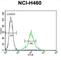 Transmembrane protein 100 antibody, abx026404, Abbexa, Western Blot image 