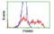 Proteasome subunit beta type-9 antibody, MBS832278, MyBioSource, Flow Cytometry image 