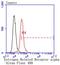 Estrogen Related Receptor Alpha antibody, NBP2-67556, Novus Biologicals, Flow Cytometry image 